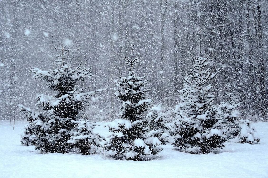 Идёт декабрь