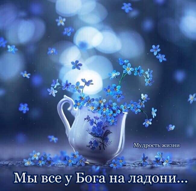 Hе желайте худого!