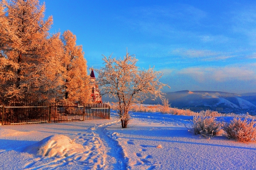 Поля Ноябрь украсил белым цветом. -