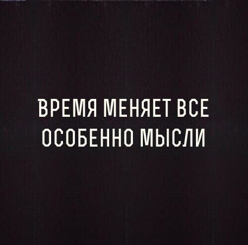 Среди страниц