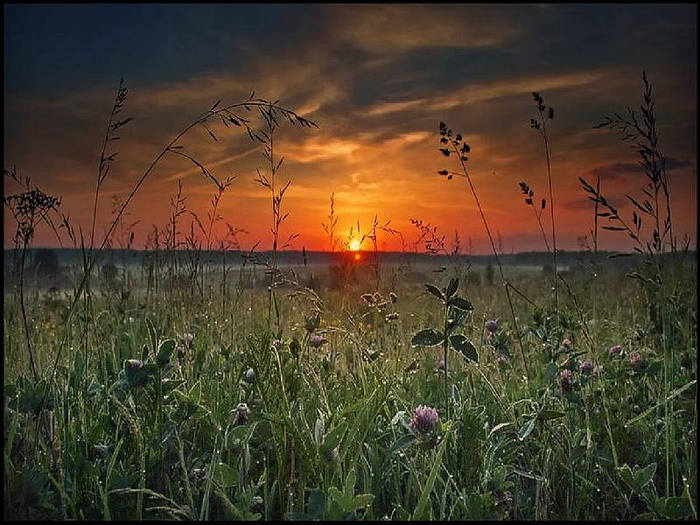 Зорька на травы ложится