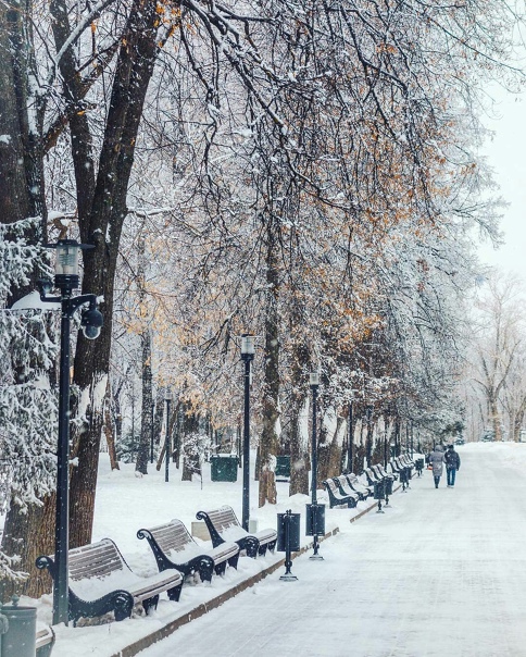 По парку брожу вспоминая