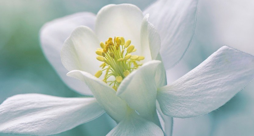 Меняй к ситуации отношение!