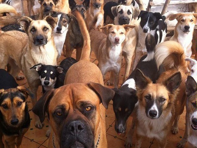 Вор кричит Держите вора! Зинаида Торопчина