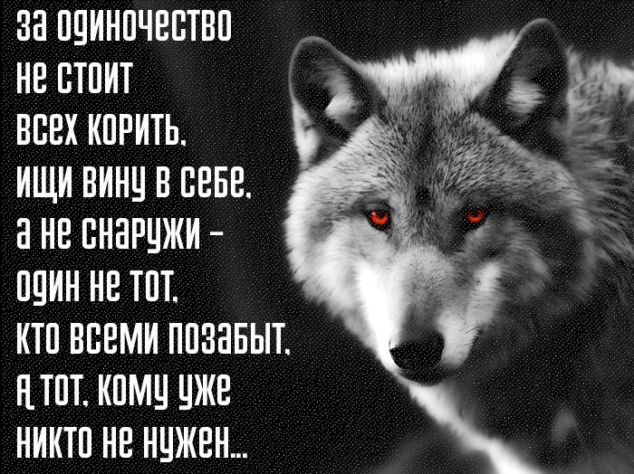 Никому не нужны грустные. Одинокий волк цитаты. Цитаты волка. Цитаты про Одинокова вока. Одинокий волк фразы.