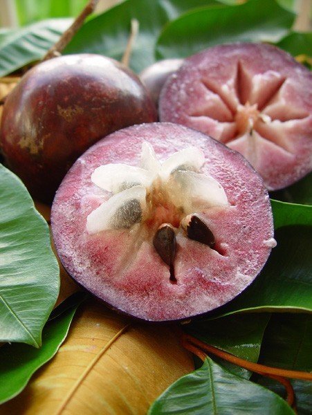 Звёздчатое яблоко