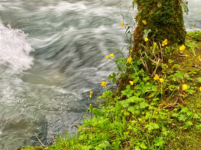 Стих, которого не было