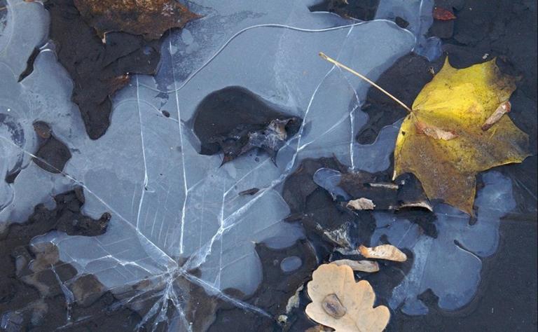 Стебёмся с осенью