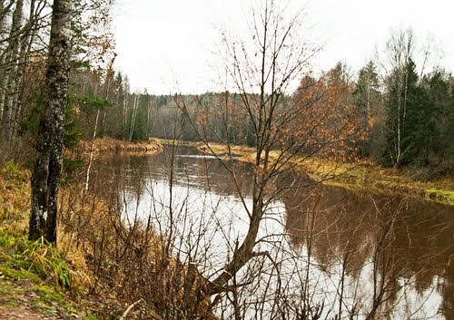 Последний месяц осени