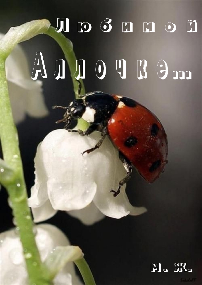 Какие подарить тебе, любимая, цветы?..