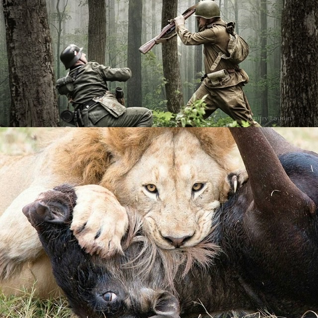 между добром и злом