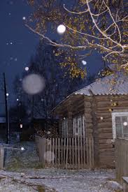 Новая зима