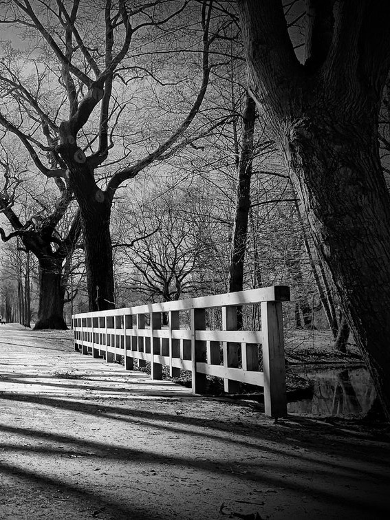 Созерцание