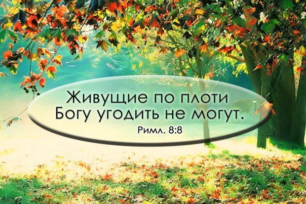 Рожденный от бога не грешит. Но вы живущие не по плоти а по духу. Франческа нери живая плоть. Дух животворит плоть не пользует ни мало. Живущая плотью.