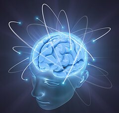 Свет разума