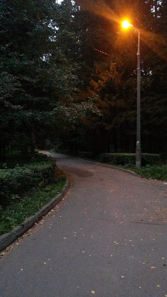 Здесь за аллеею тотчас манит другая