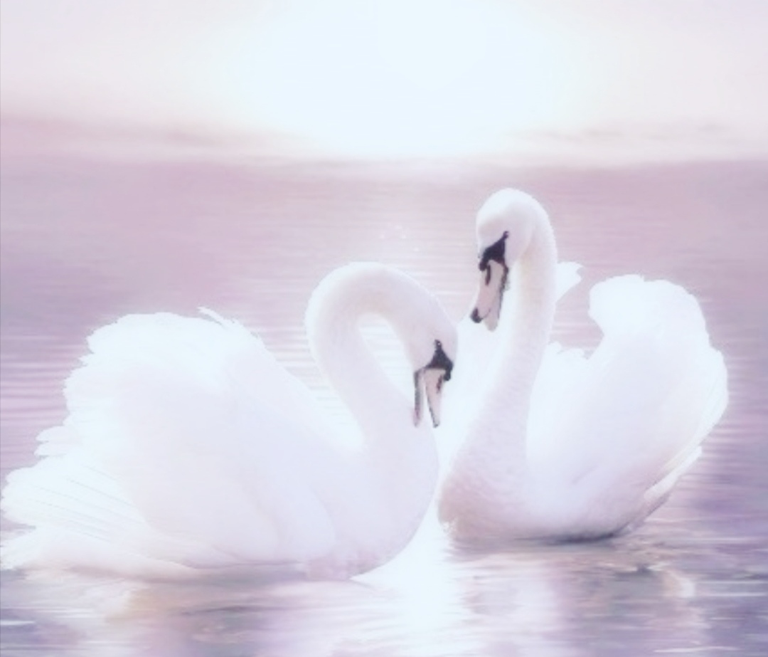 Души коснуться