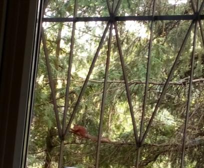 С последним днем осени