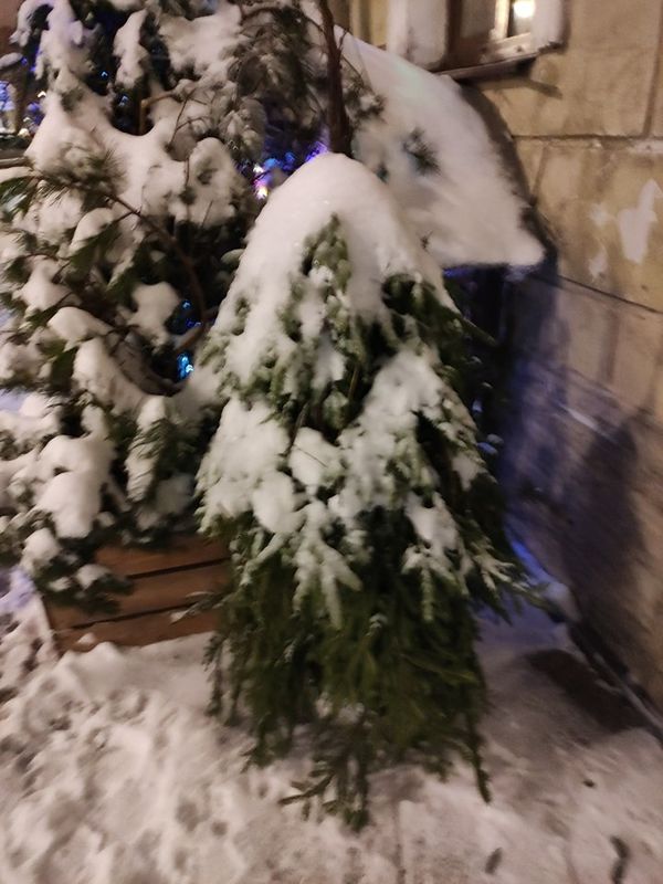 Пришла ковидная Зима