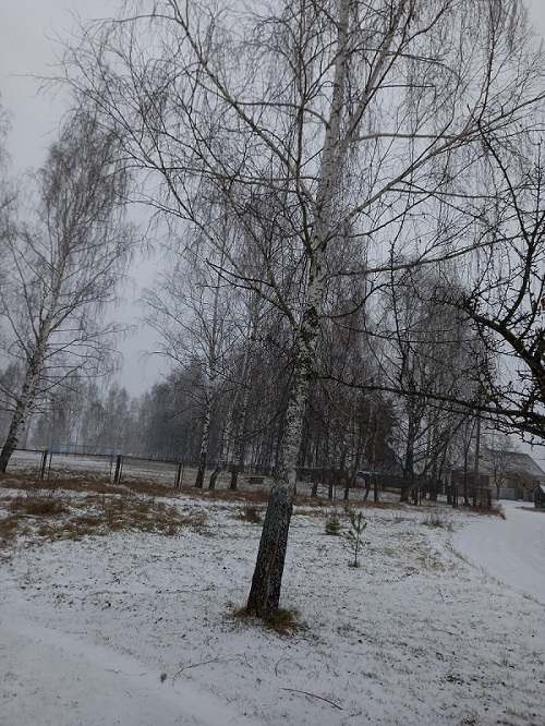 Зима пришла