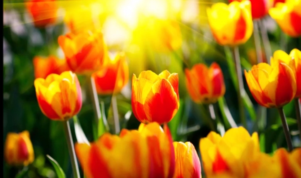 В каждом шаге...