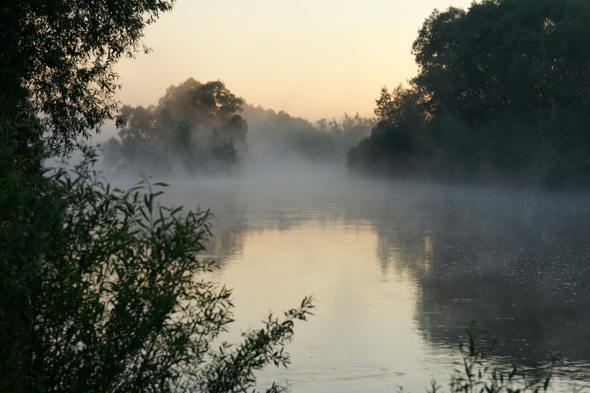 Бежит река в тумане слушать. Туман речка Кострома. Туман над рекой в Ямаровке. Туман над рекой. Туман на реке.