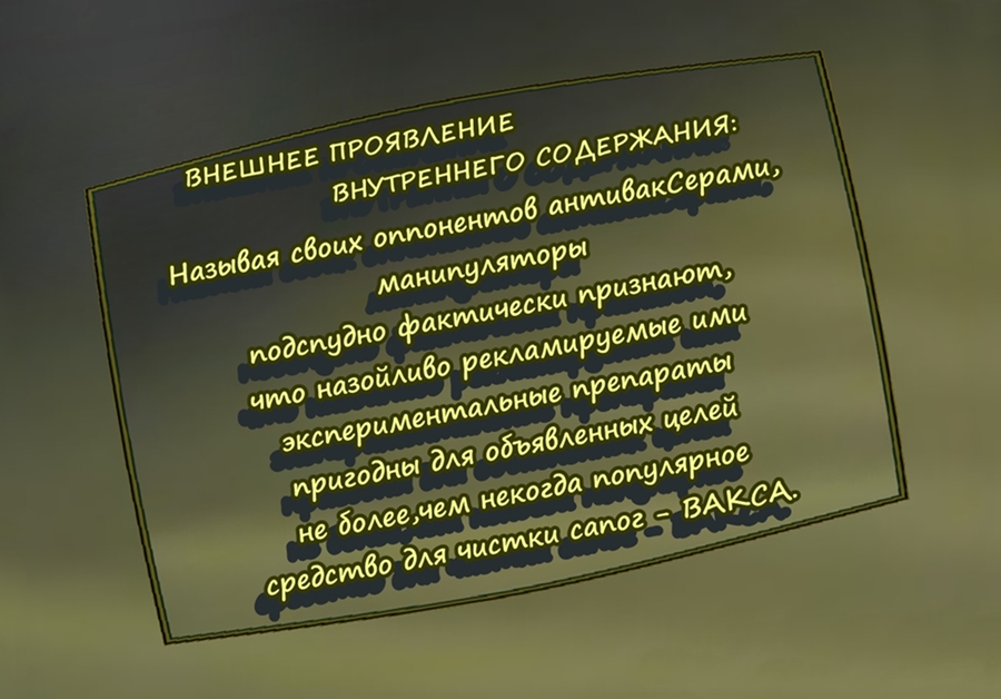 Внешнее проявление внутреннего содержания. Вакса