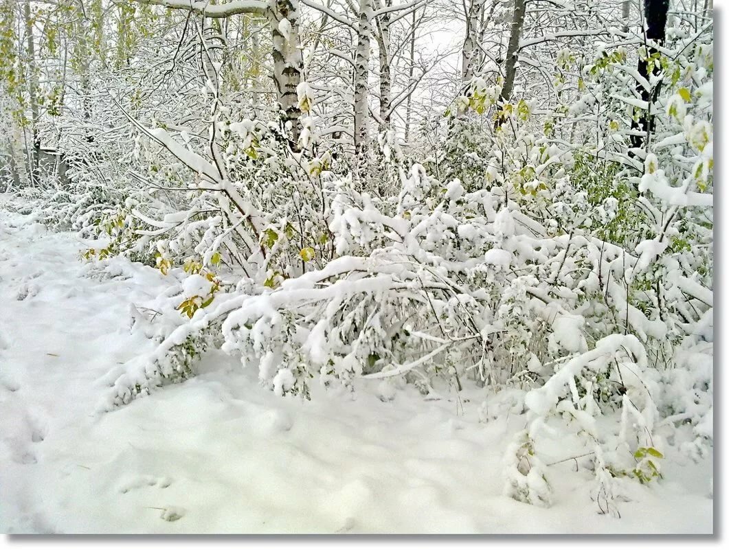 На землю падает хлопьями снег