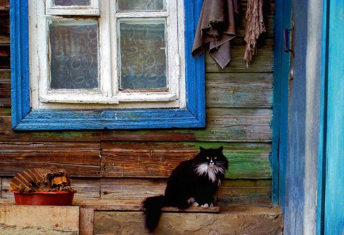 Слышен шум у магазина