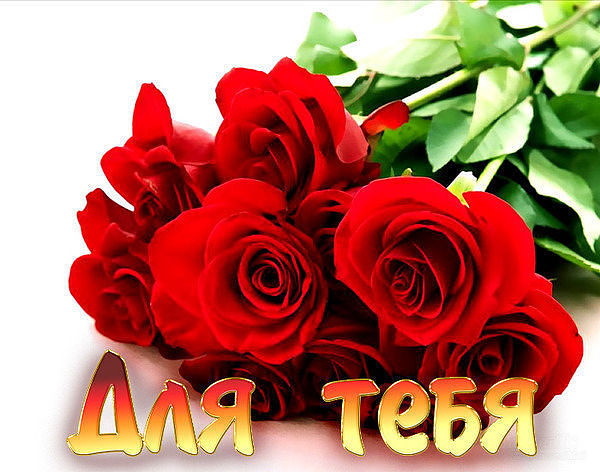 Йо1а зизаш луш мустафа ганижев