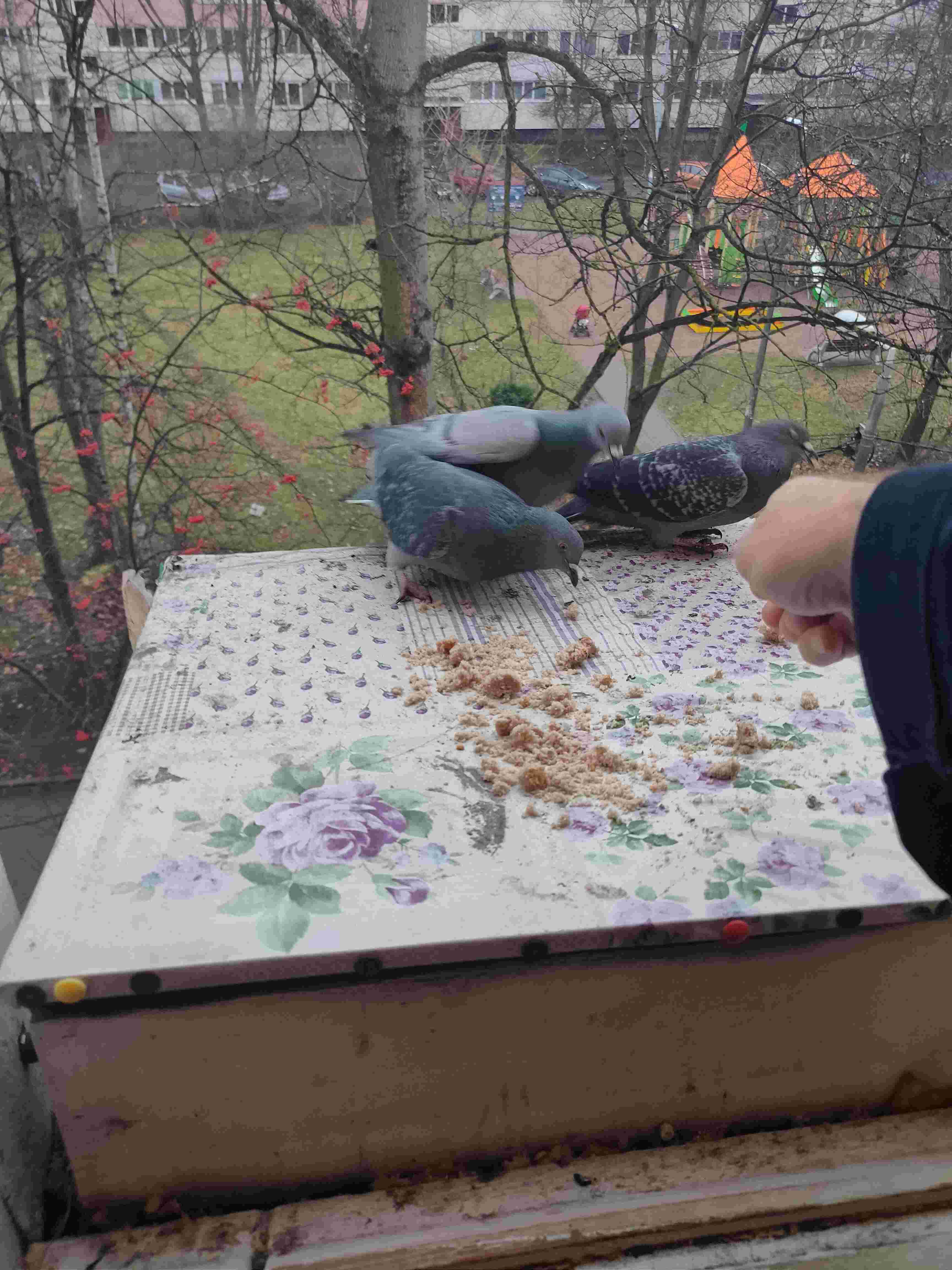 Не исчезнут