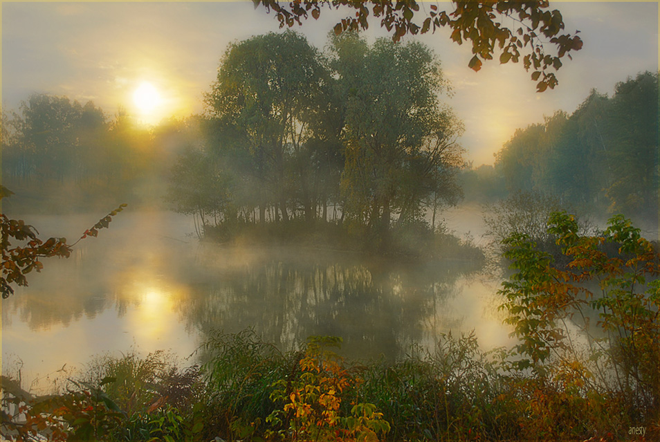 Туманная осень