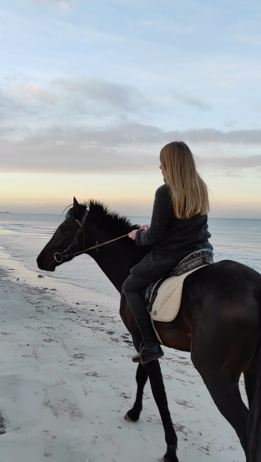 Верхом на мечте