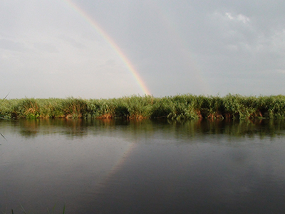 Прислонюсь к тишине