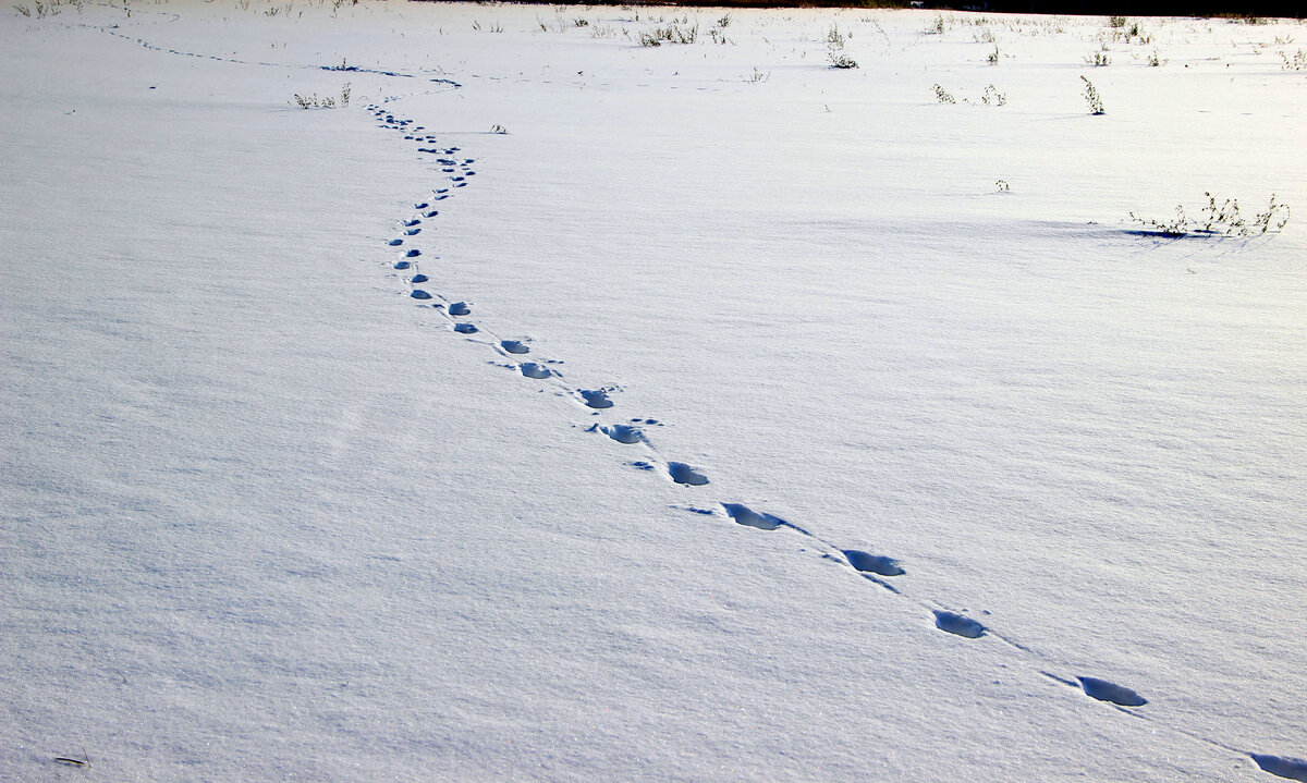 Конец света