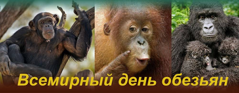 https://stihi.ru/pics/2021/12/13/7038.jpg