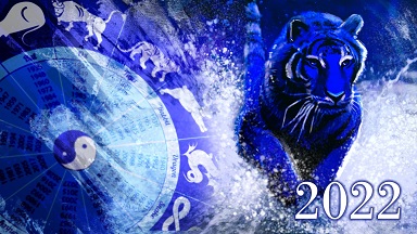 Тигр скачет к нам тайком