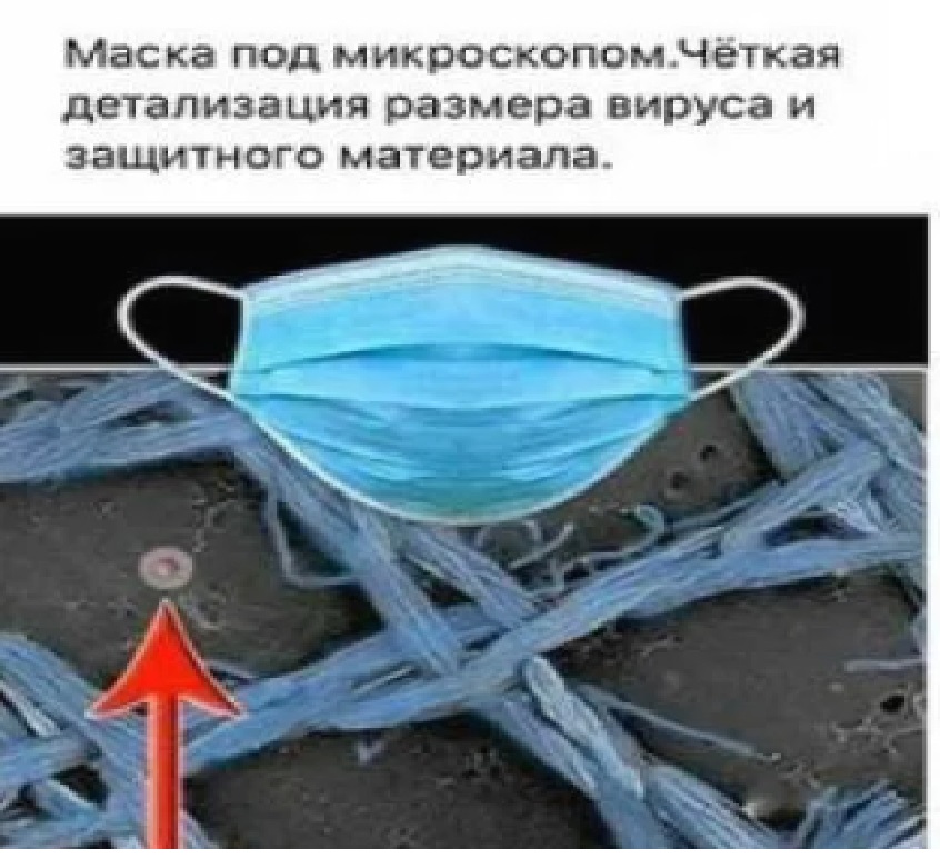 Доконали куаром