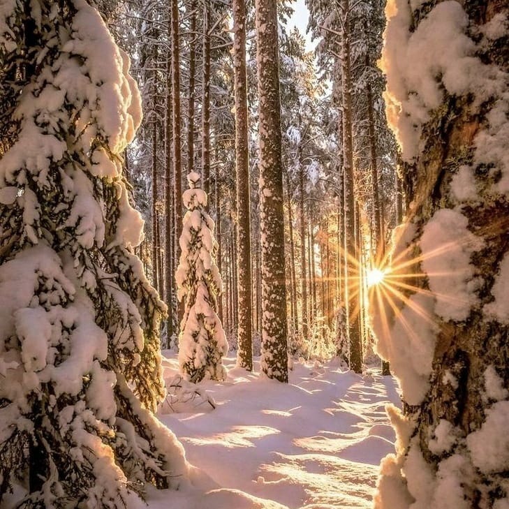 Встреча с зимой