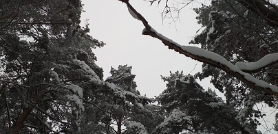 Остановись мгновенье