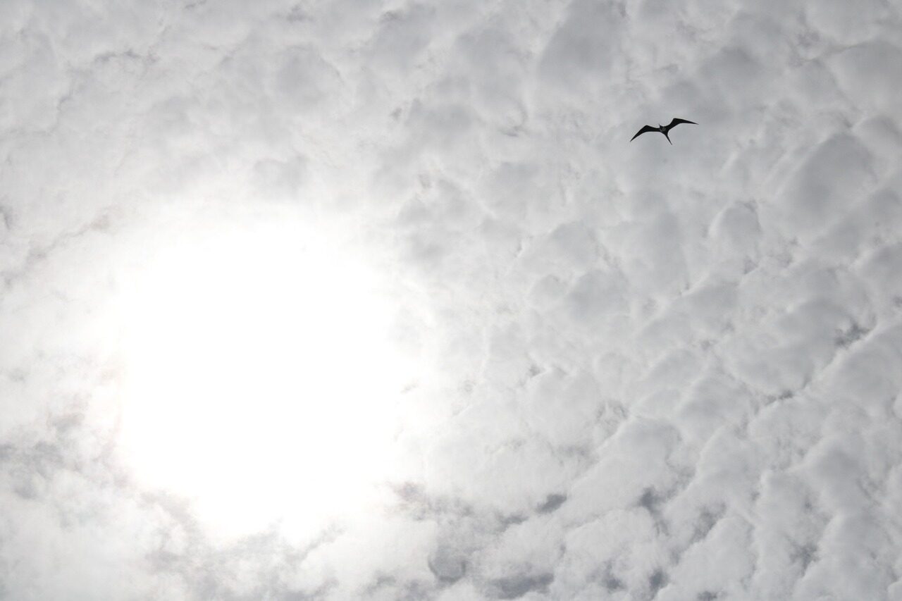 Запретить мне мечтать?