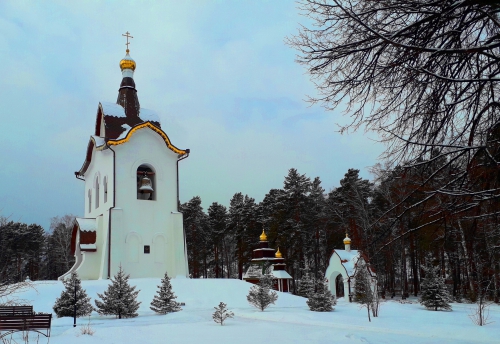 Памяти друга Владимира