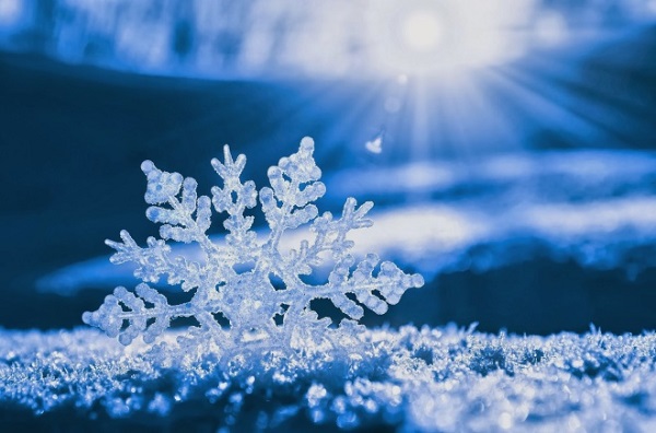 Пусть рождается сказка!