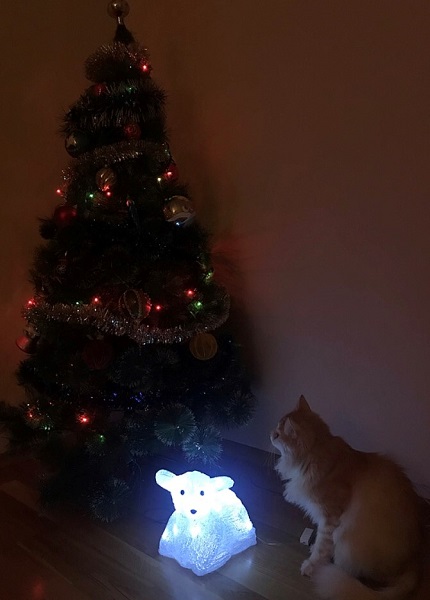 Уходящему году