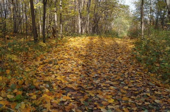 На Федорины вечёры...