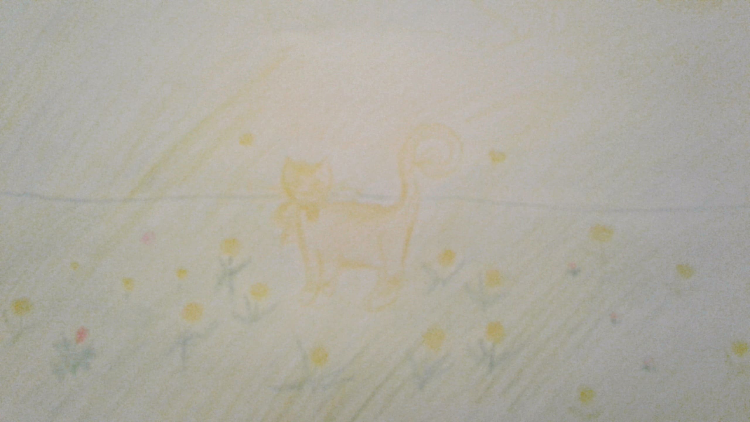 Жёлтые кошки