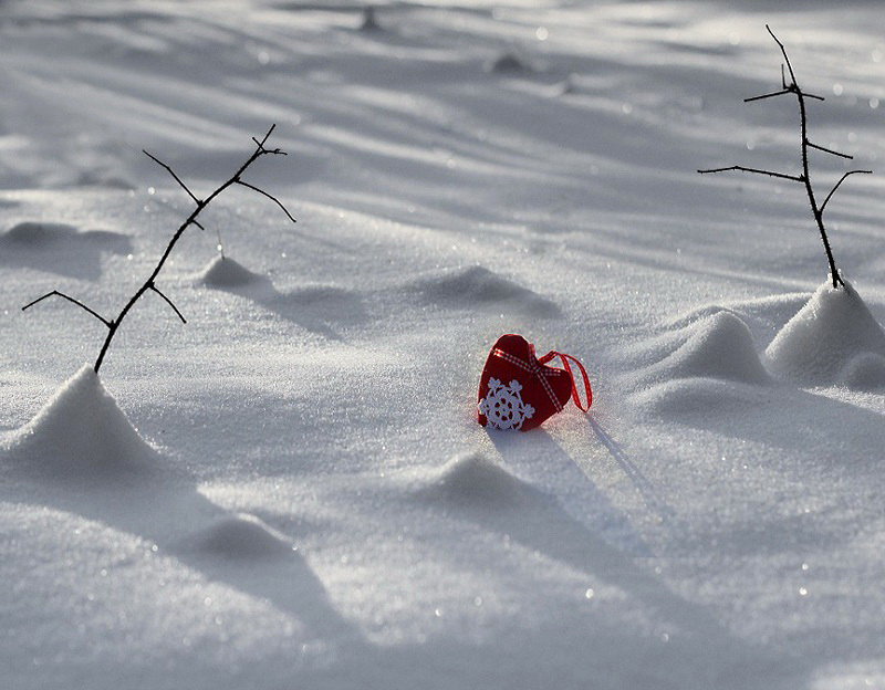 Судьба под снегом. Замерзшее сердце. Сердечко на снегу. Предмет в снегу. Зимнее сердечко.