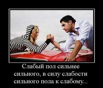 Порошки