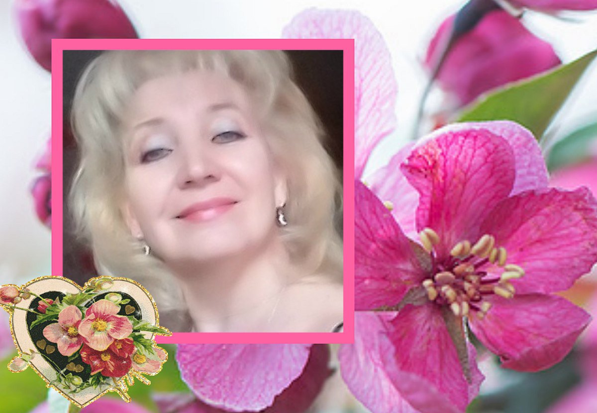 Орхидея. Посвщение С. Т. 13652