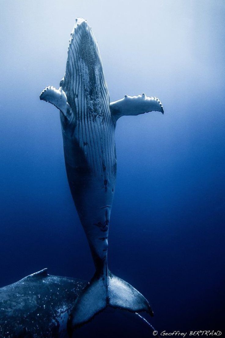 Сознание погасло как свеча на ветру...